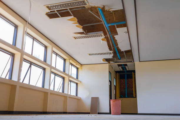 Best Flood damage cleanup  in Ironde, AL