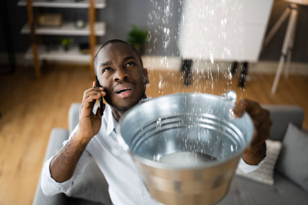Best Water damage restoration specialists  in Ironde, AL