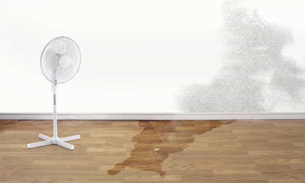 Best Water damage mitigation services  in Ironde, AL