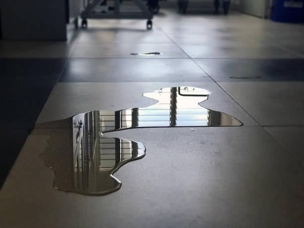 Best Professional water damage repair  in Ironde, AL