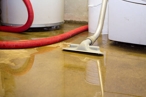 Best 24-hour water damage restoration  in Ironde, AL