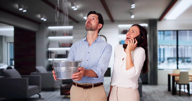 Best Ceiling water damage repair  in Ironde, AL