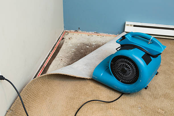 Best Emergency water damage restoration  in Ironde, AL
